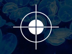 Strategia della comunicazione e politica di marketing